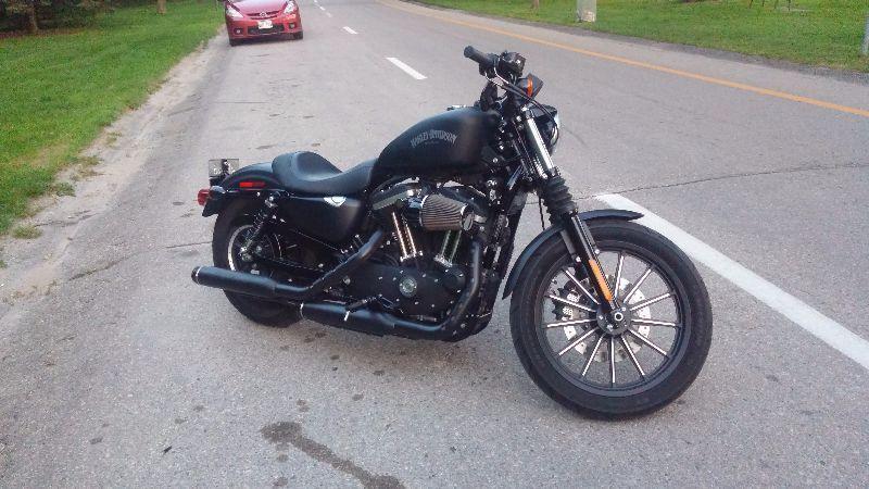 2014 Harley davidson Iron 883