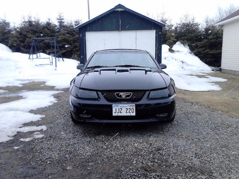 ***** COME GET IT! ***** 1999 FORD MUSTANG GT *****