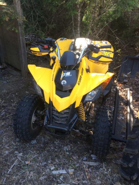 2010 Can Am