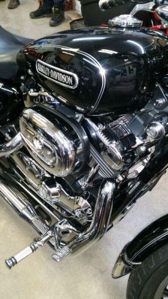 1200 Harley Davidson Sportster low