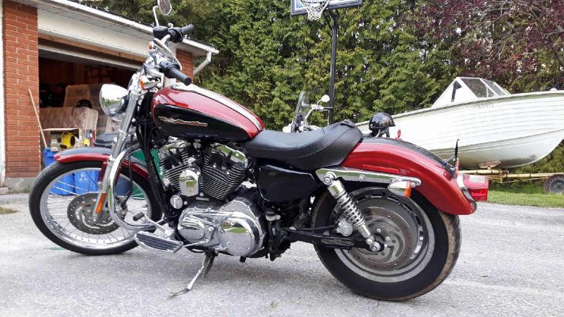Harley-Davidson custom sportster 1200