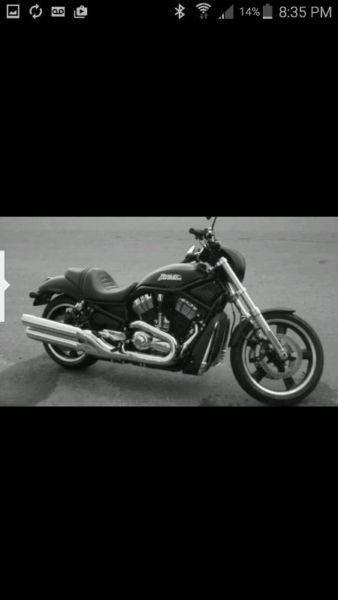Harley Davidson Night Rod!!!!