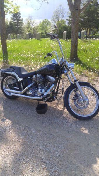 2007 Softail Standard