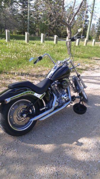 2007 Softail Standard