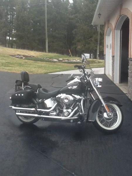 HARLEY-DAVIDSON SOFTAIL DELUXE -REDUCED PRICE