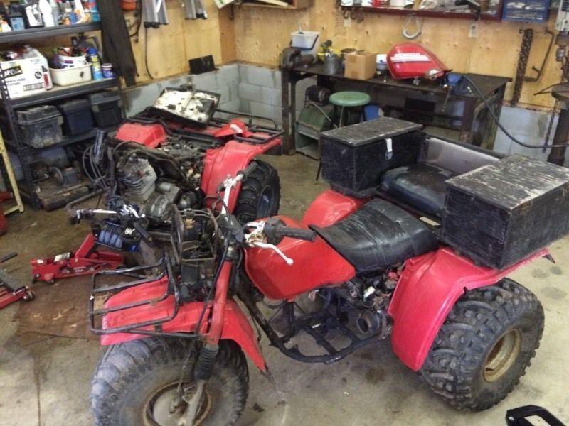 Big Red 250 ES Parting Out
