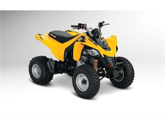 2016 CAN-AM DS 250