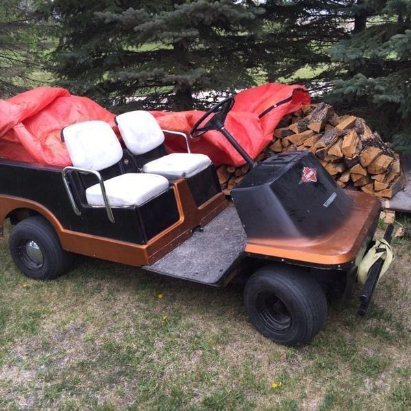 Harley Davidson golf cart-cougar catcher