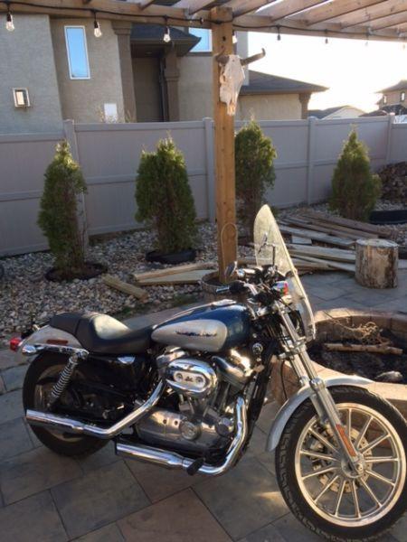 2006 Sportster 883 for sale