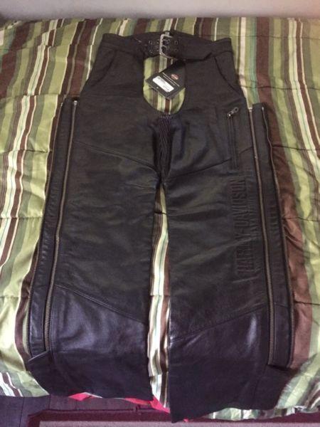 Harley Davidson leather pants and jacket