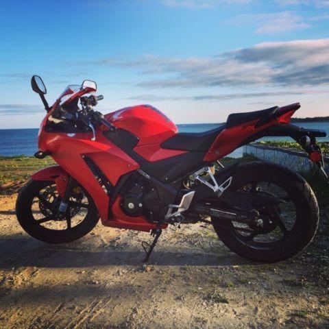 CBR300r Almost Brand New. Priced to sell. Low KM