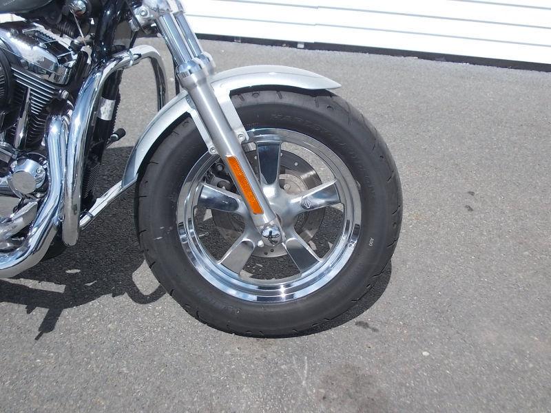 2012 Harley Davidson Sportster 1200 Custom VERY SHARP