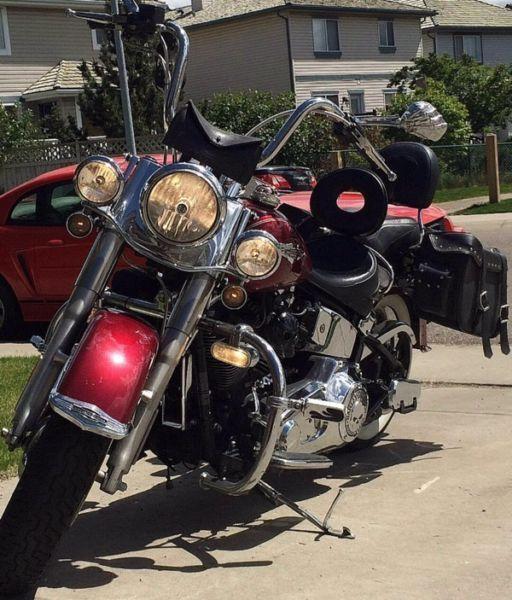 06 Harley Davidson Softail Deluxe $16,000 OBO