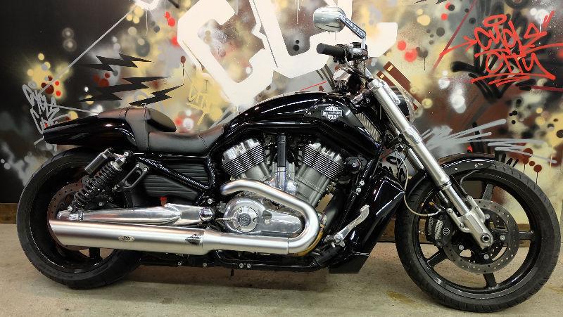 Everyones approved. 2010 HD Vrod Muscle 12,500km's.$299 monthly