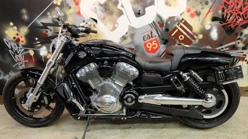 Everyones approved. 2010 HD Vrod Muscle 12,500km's.$299 monthly