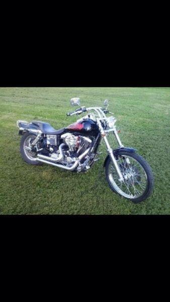 96 Harley wide glide