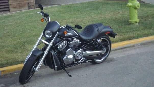 Night Rod Harley Davidson!!!!