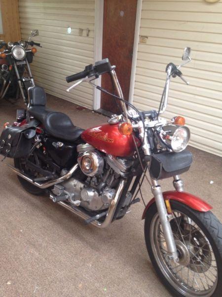 1990 Harley sportster 1200 deluxe