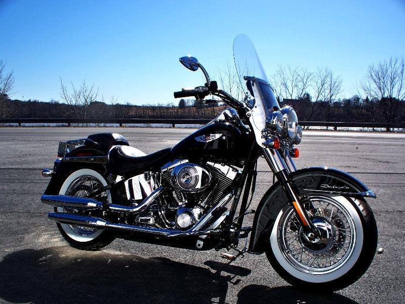 HARLEY DAVIDSON SOFTAIL DELUXE