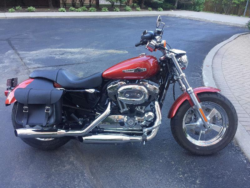 For Sale: Harley Davidson 1200 Custom Sportster
