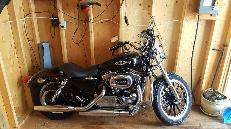 2009 Harley Davidson Sportster 1200 Low