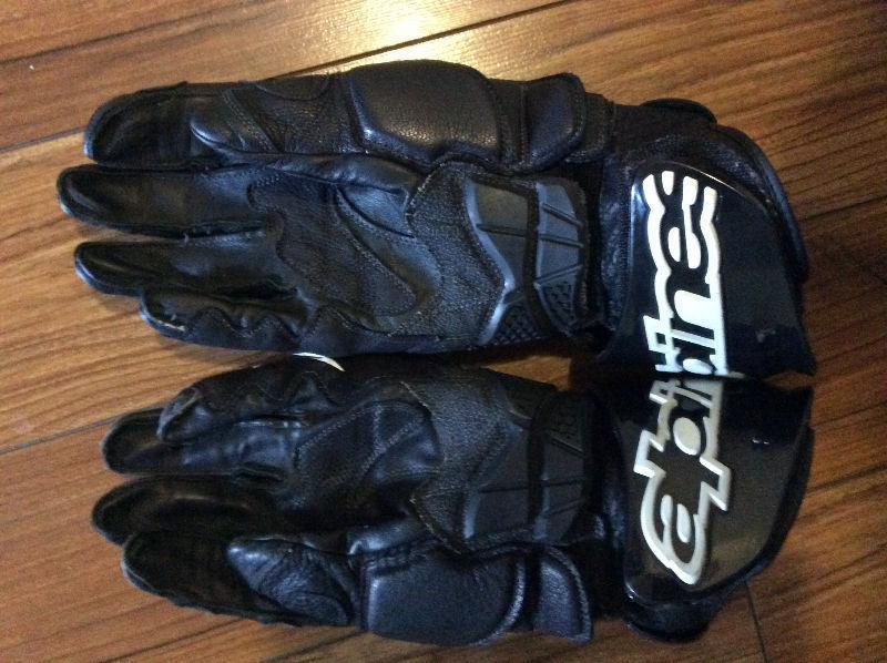 Large Alpinesstars gloves