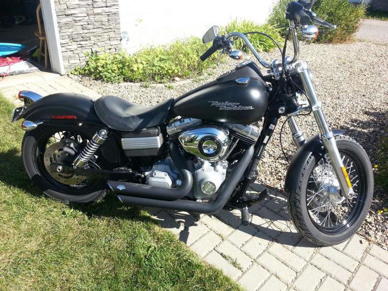 Street Bob Harley Davidson for Sale- like NEW!