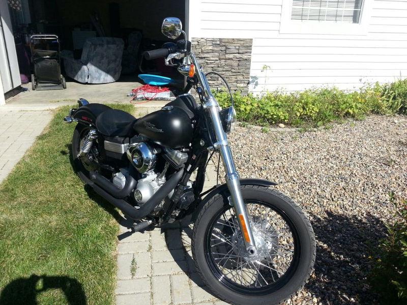 Street Bob Harley Davidson for Sale- like NEW!