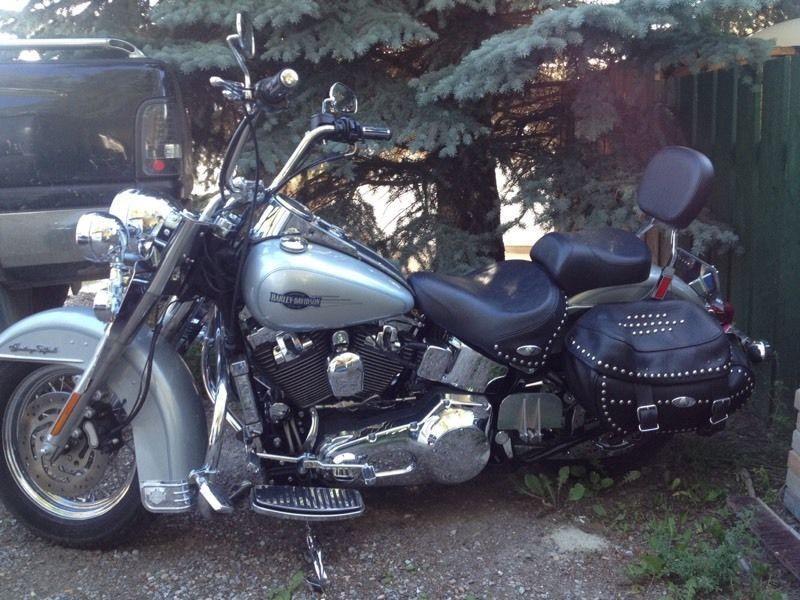 Harley Davidson Mint Condition 2005