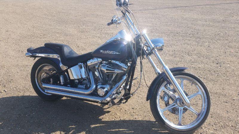 2000 Harley Davidson softtail
