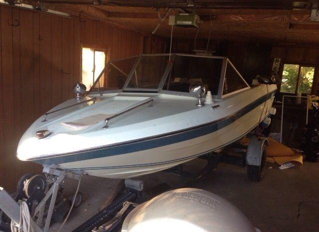 Rzr 800 and 17' outboard boat Mercury 800engine