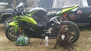 Turn some heads:Lime Green Honda CBR **REDUCED**
