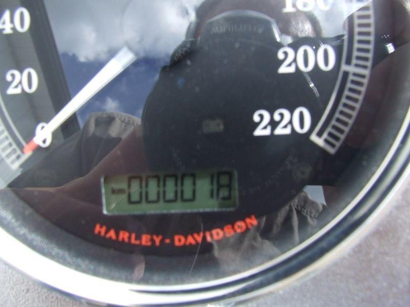 2015 Harley-Davidson FLSTF - Softail Fat Boy