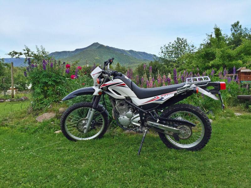 2010 Yamaha XT250 in Fernie