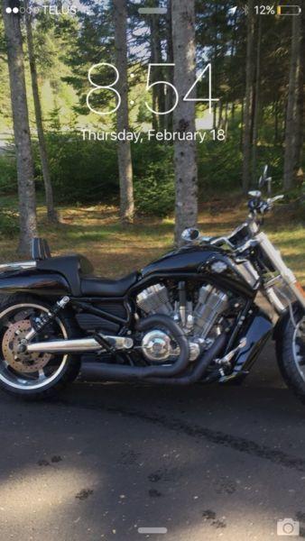 2010 Vrod muscle