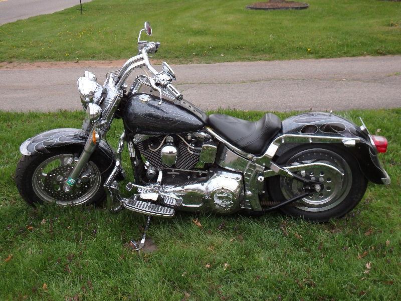 Custom Harley Davidson Softail Fatboy