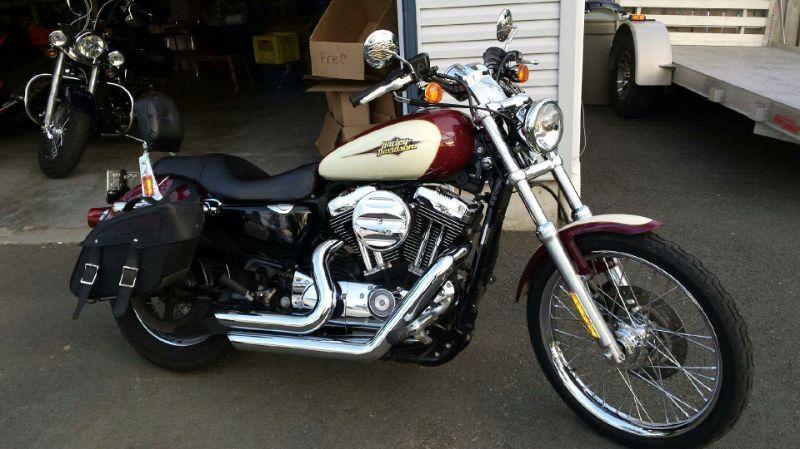 Harley Davidson Sportster 1200 NEW PRICE