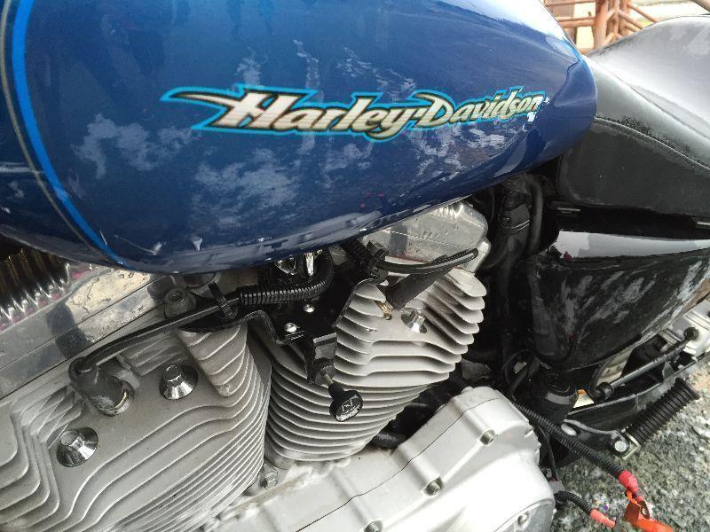 2006 Harley Davidson Sportster Custom 883