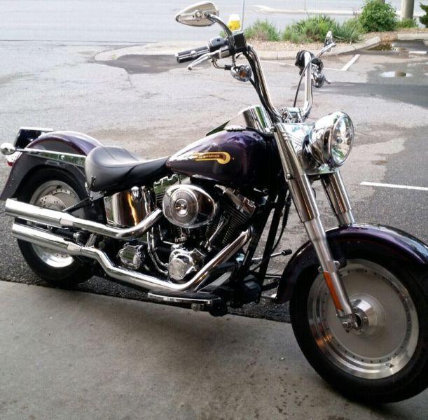 2004 fatboy in new condition