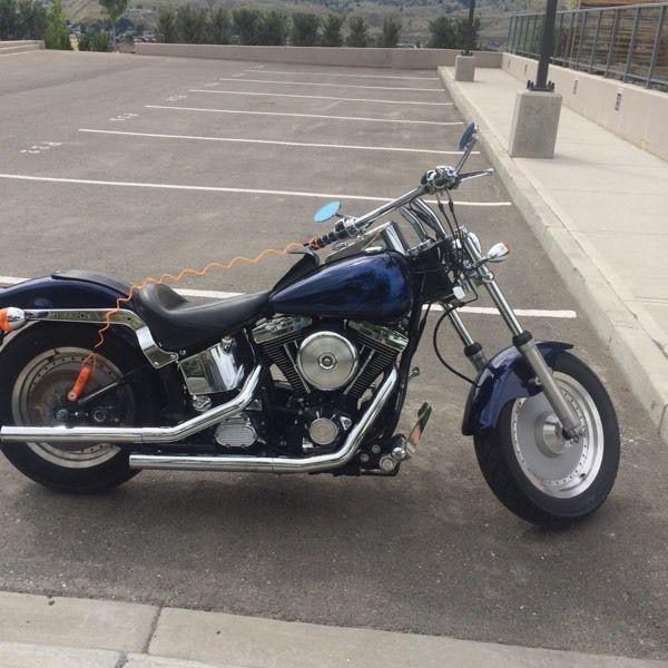 98 Harley softail custom