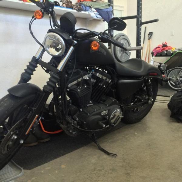 2014 Harley Sportster Iron 883 Denim Black ONLY 230km's