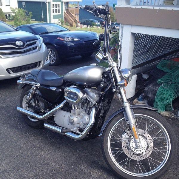 Sportster For Sale