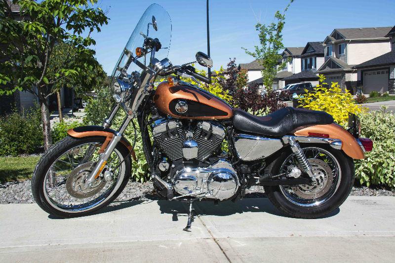 2008 Harley Sportster 1200 105th Anniversary Special