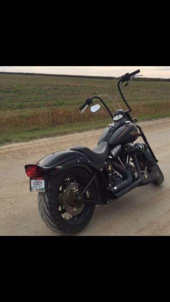 2009 Harley Davidson Crossbones