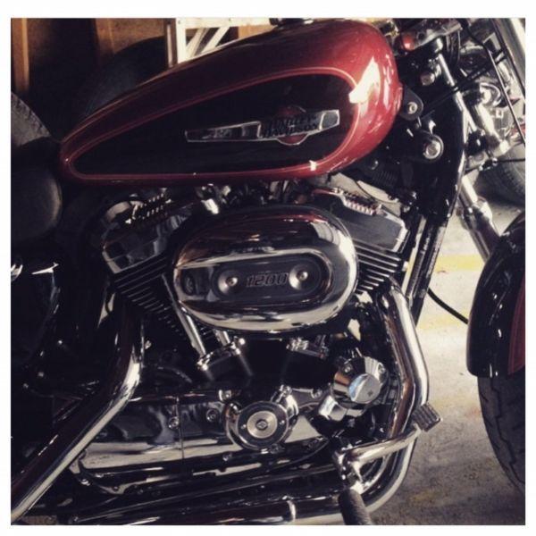 2013 Harley Davidson Sportster 1200 Custom PRICE REDUCED