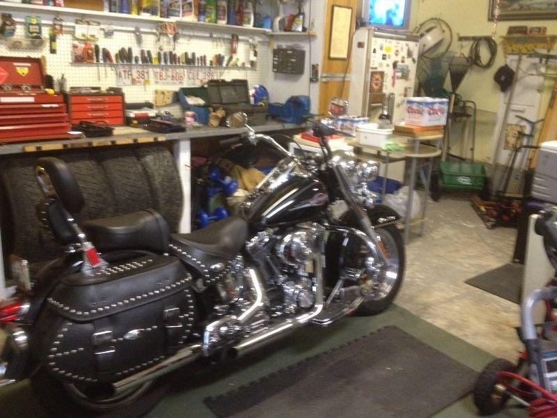 2006 Softail Classic - Excellent condition