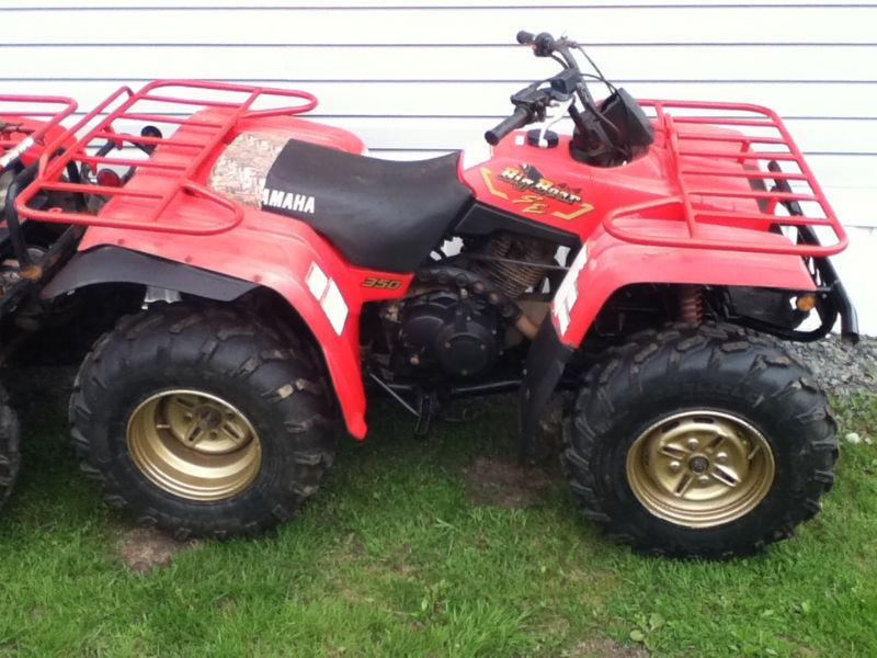 1996 Yamaha Big Bear 350 Special Edition - $800