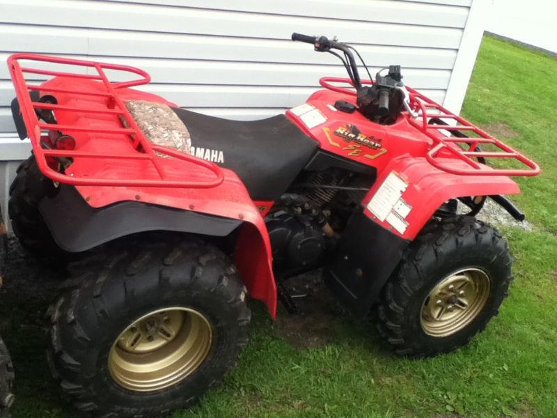 1996 Yamaha Big Bear 350 Special Edition - $800