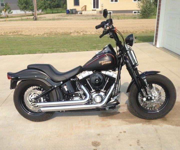 2008 Harley-Davidson® FLSTSB Crossbones