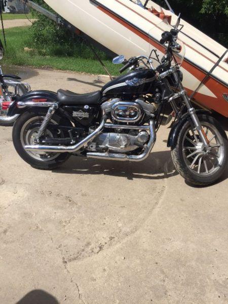 2003 Harley Davidson sporster